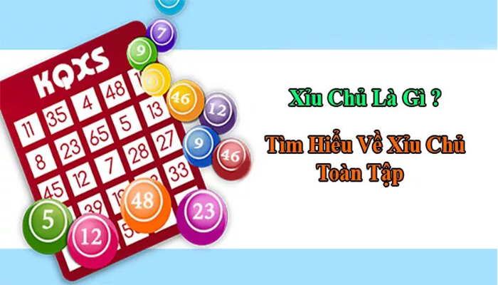 Khái niệm xỉu chủ